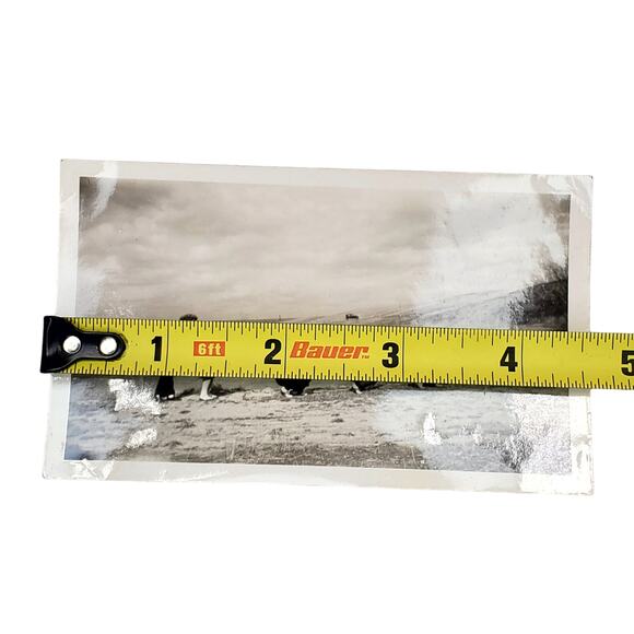 Vtg Friends Playing Leap Frog Near Lake Original Monochrome Photo Found Snapshot - Picture 3 of 4